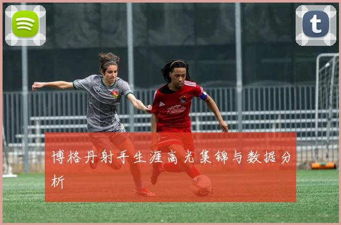 博格丹射手生涯高光集锦与数据分析